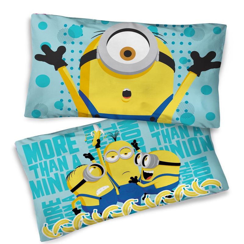 5469-funda-minions