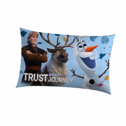 Almohadon Frozen Trust