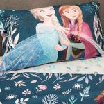 5649-sabana-frozen-6