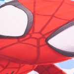 Sabana-CF-Spidey-5