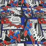 1075-ajustable-spider-comic-2