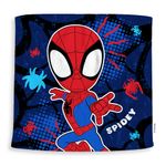 Toallita-Spidey