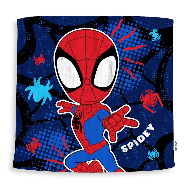 Toallita-Spidey