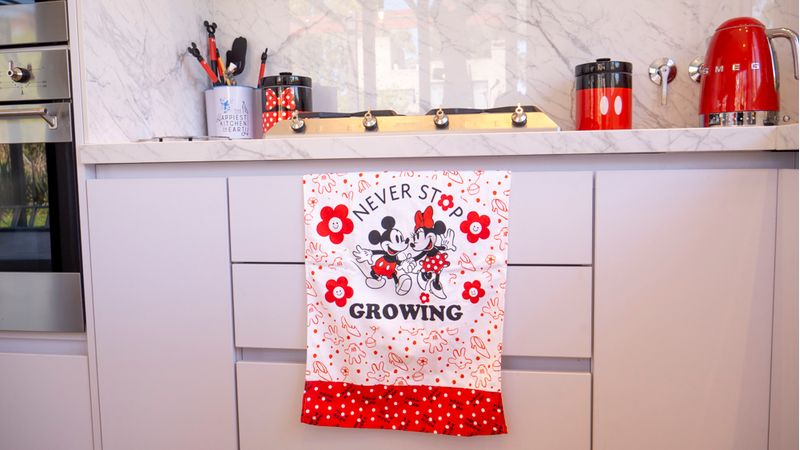 Mickey-y-Minnie