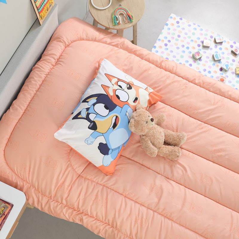 Bluey-5899-3