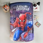 Spiderman-6027--1-.jpg