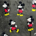 MANTA C. MANGAS MICKEY DETALLE 1.jpg