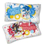 SONIC-PILLOWSHEET.jpg