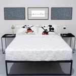 Mickey-w.-2pl_Q_K_3