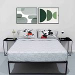 Mickey-G.-2pl_Q_K_2