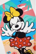 Pinata0178 -1-