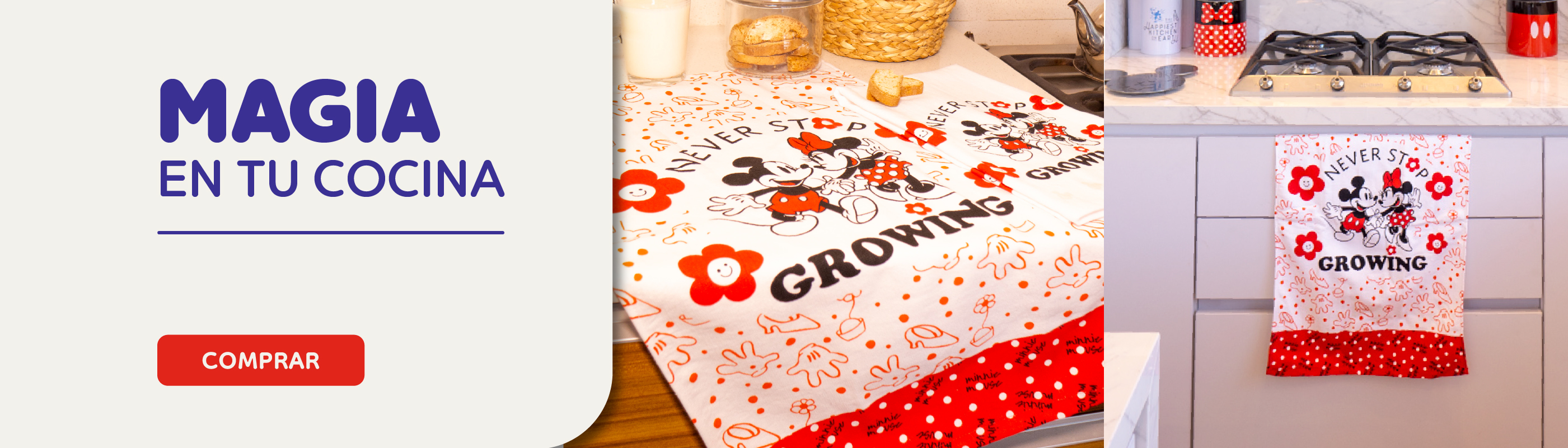 Disney Home